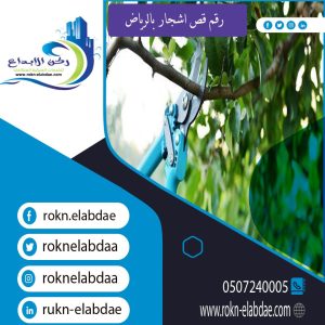 Tree cutting number in Riyadh